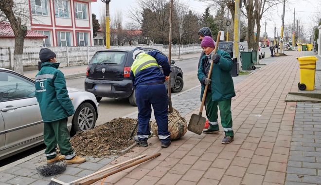 Peste 1.500 de copaci și arbuști vor înfrumuseța orașul, în această primăvară - plantari-1-1679406214.jpeg