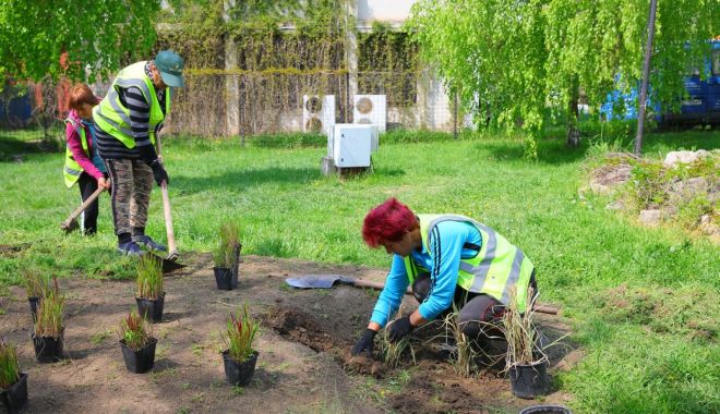 Primăvara continuă cu plantarea de arbuști ornamentali și plante decorative