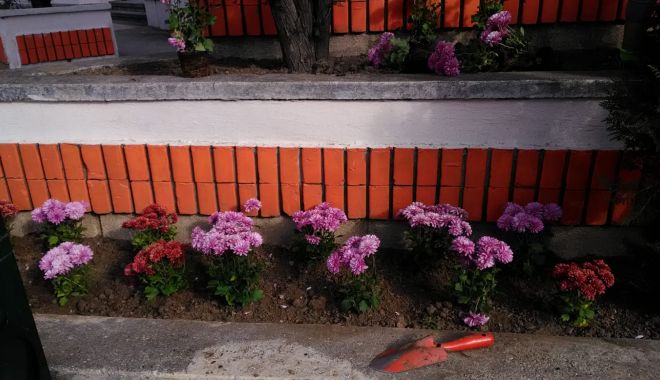 Primăria Constanța continuă plantările de toamnă - plantari10-1573130839.jpg