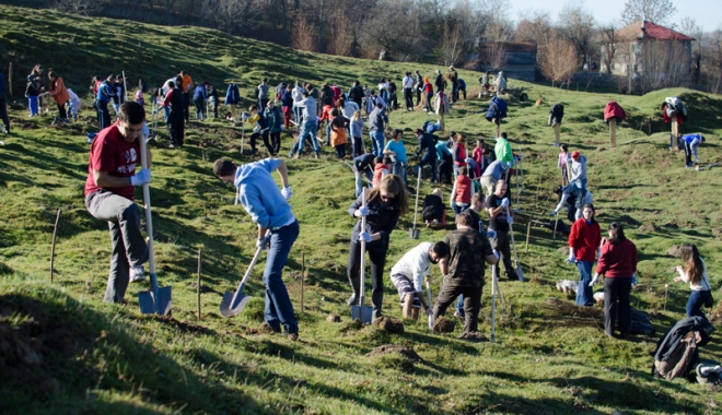 Zeci de hectare de terenuri, împădurite de voluntari - plantaripaduri-1476722057.jpg