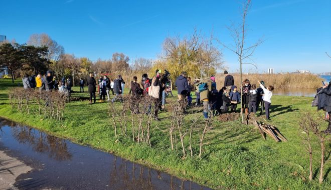 Micii ecologiști ai Școlii nr. 28 au plantat puieți de tei în parcul Tăbăcăriei - plantaritabacarie-1638447509.jpg