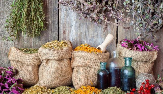 Reechilibraţi-vă organismul cu ajutorul plantelor medicinale! - plante-1622463782.jpg