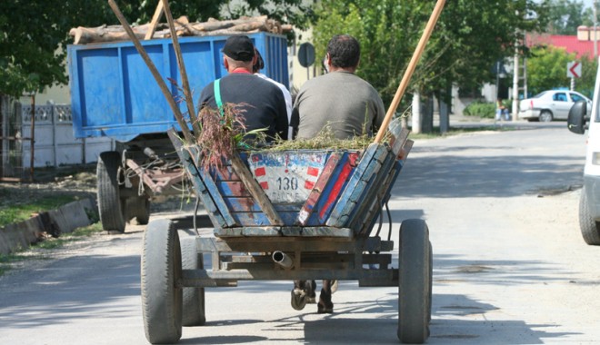 Plănuiau să treacă ilegal granița în Bulgaria, pentru a fura - planuiausatreacailegalgranita-1410979441.jpg