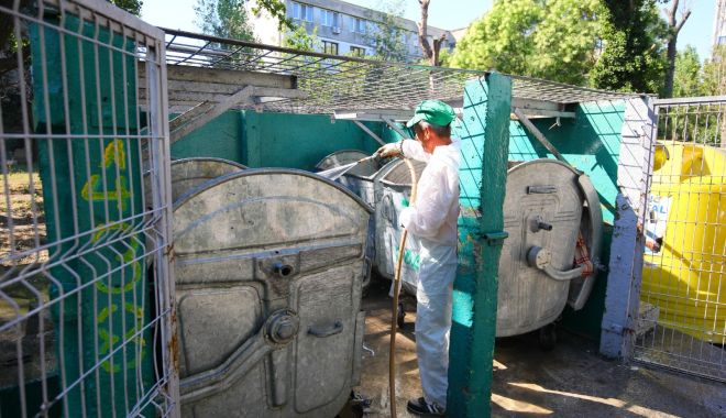Platformele de deșeuri din Constanța, dezinfectate permanent - platformelededeseuri1-1598984138.jpg