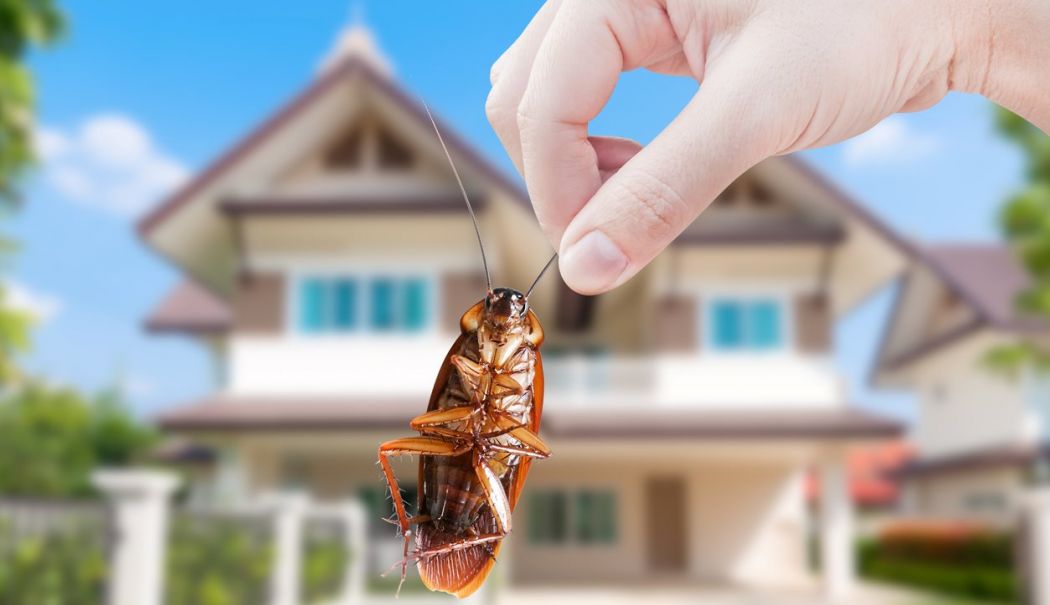 Plecați din casa mea! - plecati-1741370255.jpg