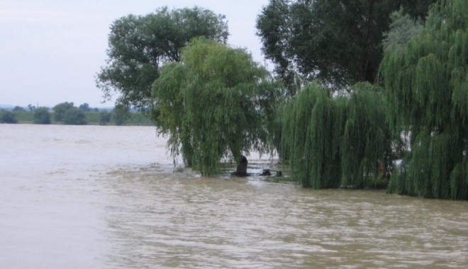 INHGA / COD GALBEN de inundații în Dobrogea, menținut până la ora 15.00 - ploaie-1408261596.jpg
