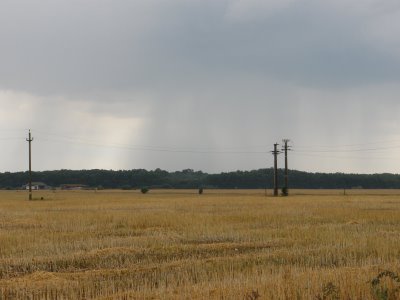 Ploaia aceasta e ca o mănușă pe timp de iarnă - ploaieincamp-1311232409.jpg