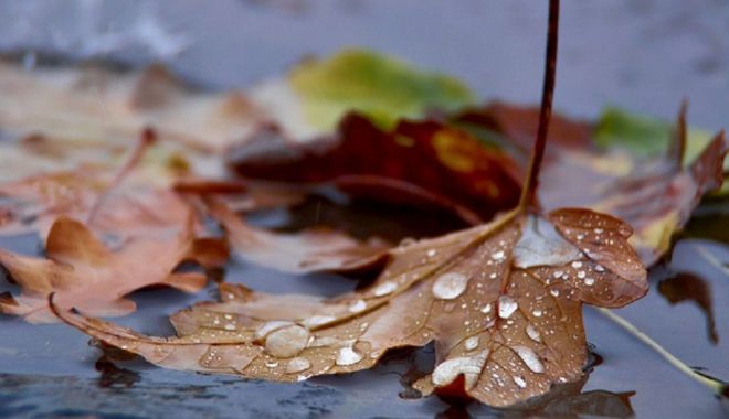 PROGNOZĂ METEO LUNARĂ. A doua lună de toamnă va aduce ploi - ploaietoamnaoctombriee1536908888-1568977460.jpg