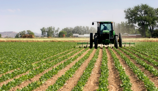 România, avertizată de Comisia Europeană: Nu vedeți că vă vindeți țara? - pmpterenuriagricole-1508425534.jpg