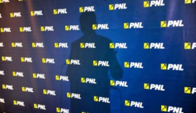 O actriță celebră intră în PNL și va candida la alegerile locale - pnl-1597404620.jpg