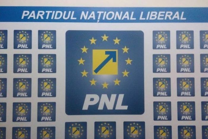 Liberalii acuză PSD că a provocat criza politică și refuză să își asume guvernarea
