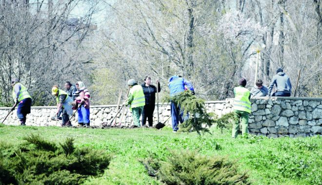 PNL Constanța: Constănțenii vor un oraș verde - pnlspatiiverzi-1532709140.jpg