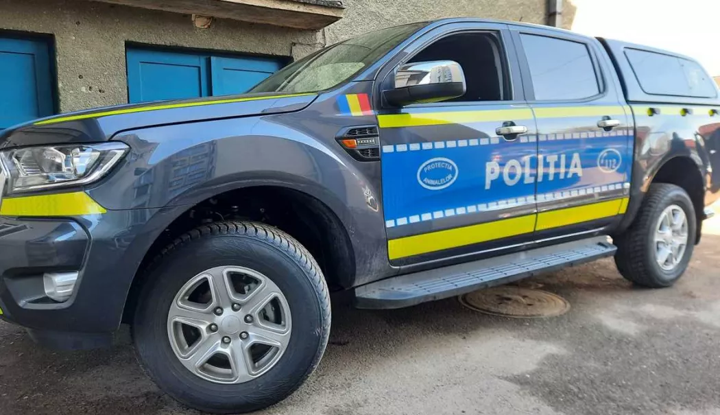 Cruzime fără margini! Câine bătut cu bestialitate, cazul a ajuns la Poliție - politiaanimalelor7-1774684097.webp
