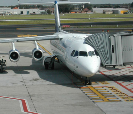 Poliția de frontieră vrea să știe tot ce mișcă. Adună date de la aeroporturi - politiadefrontieravreasastietot-1395422715.jpg