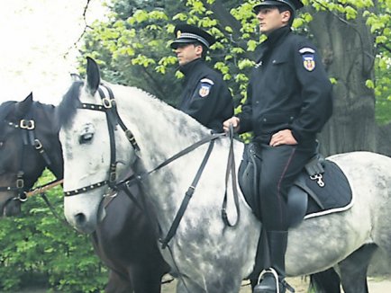 A fost înființată Poliția Călare la Constanța! - politialocalacalaredupainfractor-1323969917.jpg