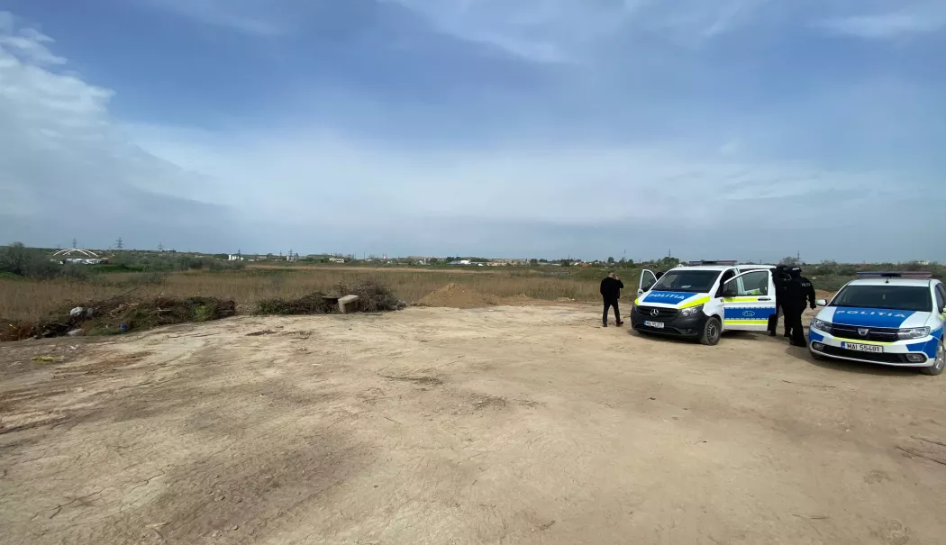 Descoperire șocantă lângă Constanța! Resturi animale, lăsate să putrezească pe câmp - politie-pe-camp-1773310011.webp