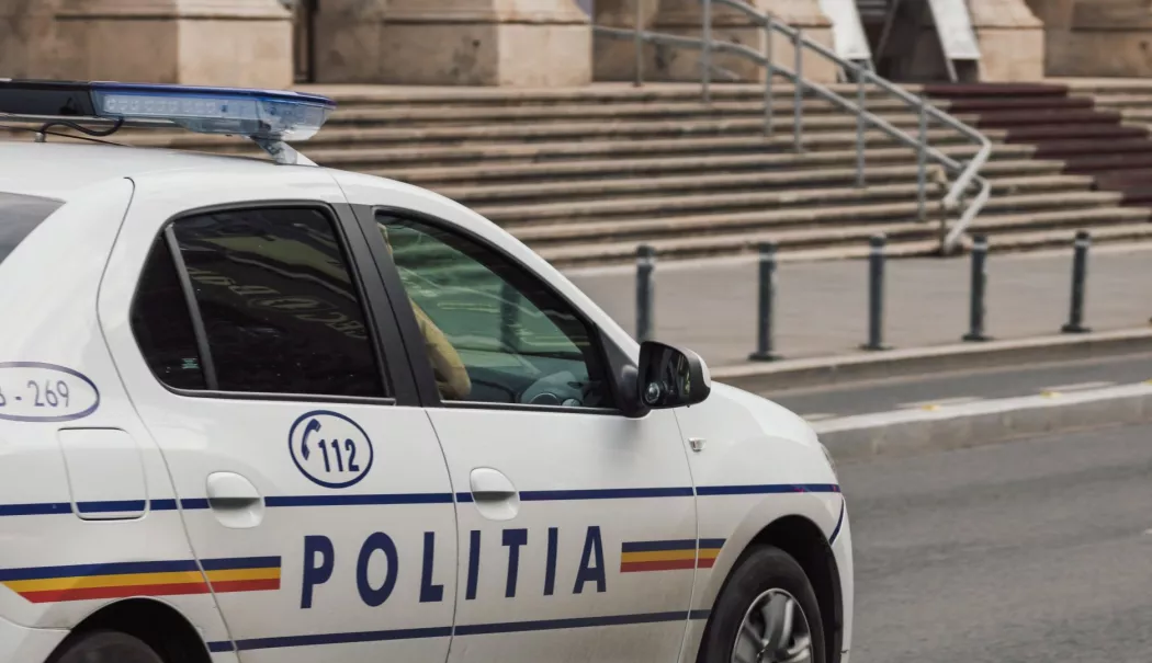 Foto - Descoperire șocantă într-o casă din Constanța! Polițiștii au găsit cadavre de animale și câini în stare gravă