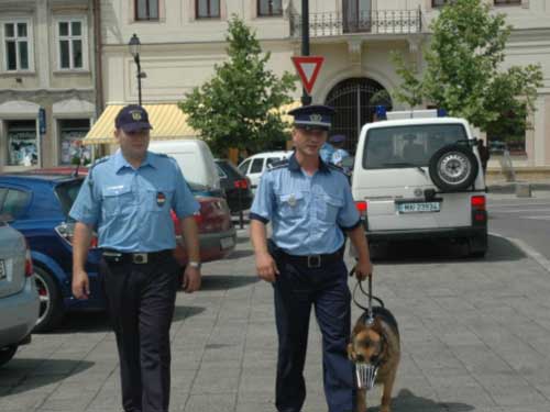 România trimite  polițiști în Franța ca să patruleze de sărbători - politisti20patrula20baia20mare20-1322153989.jpg