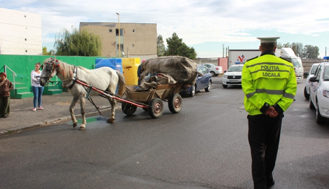 Polițiștii au găsit soluția pentru căruțele din Constanța: 