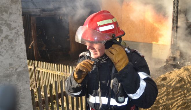 ARD ALBINE LA CONSTANȚA! Lichidarea focului, dificilă din cauza insectelor agitate - pompieriincendiudragoiesti12-1562146792.jpg