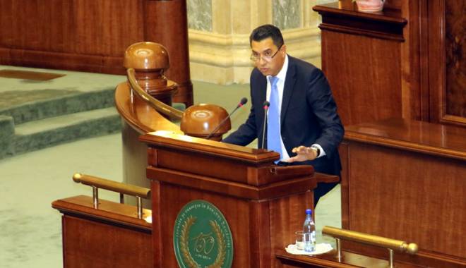 Senatorul Gigi Chiru:   