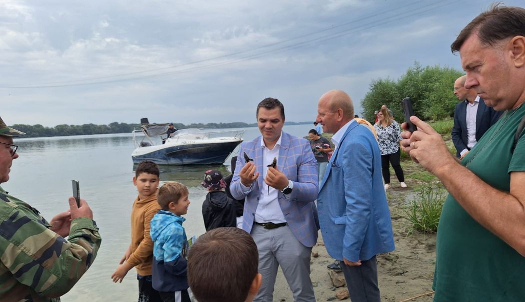 Aniversarea Rezervației Biosferei Delta Dunării: 1.300 de pui de sturion au fost eliberați - populare-sturioni-2-1725379926.jpg