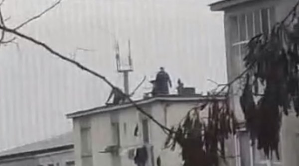 Români surprinşi când taie porcul pe bloc. Tot la înălţime l-au şi pârlit - porc1-1669998585.jpg