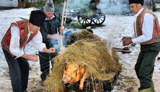 Porcul, vedeta Crăciunului la români. Ce reguli trebuie să respecţi la tăierea porcului ca să nu-ţi iei amendă - porc2-1670781196.jpg