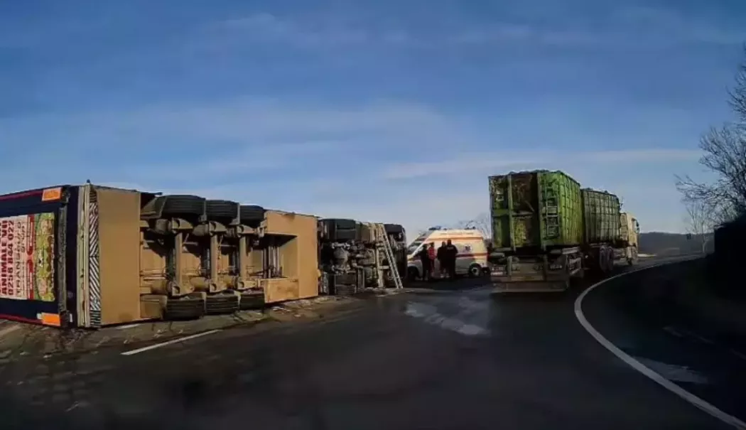 Camion încărcat cu aproximativ 200 de porci vii, răsturnat. Intervenție de urgență a pompierilor - porci-1765975941.webp