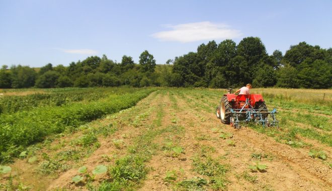 Potop de oferte pe piața terenurilor agricole din județul Constanța - potopdeofertepepiataterenurilora-1590413610.jpg