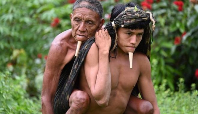 Povestea emoționantă din spatele unei fotografii surprinse în Amazon, care a devenit virală - povesteemotionanta-1642173249.jpg