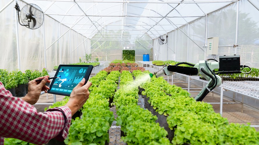 O nouă agenție înființată în subordinea Ministerului Agriculturii cu 3,5 milioane de euro - pozasiteagricultura40-1758539185.jpg