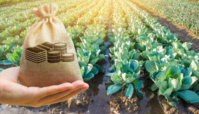 Precizări pentru beneficiarii microgranturilor în domeniul agroalimentar - precizaripentrubeneficiariimicro-1653830358.jpg