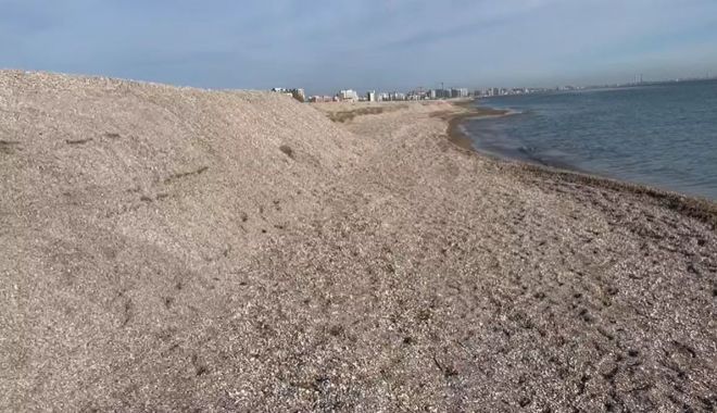 Au început pregătirile pe litoral pentru noul sezon. În Mamaia unii operatori cern nisipul ca să devină fin