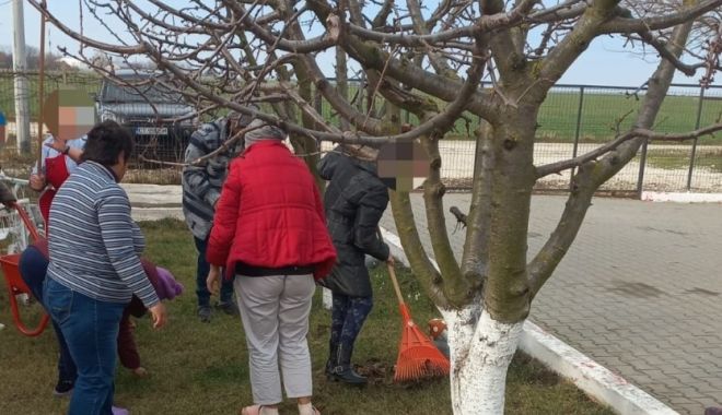 Pregătirea pentru primăvară, în toi la Locuințele Protejate pentru Adulți cu Dizabilități din Topraisar - pregatiri-primavara-1708686296.jpeg