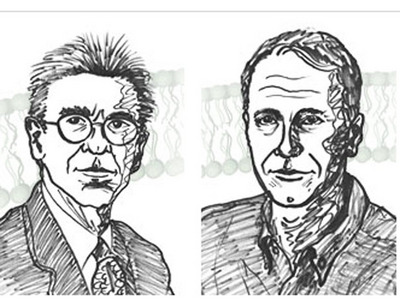 PREMIILE NOBEL 2012: Brian K. Kobilka și Robert J. Lefkowitz, laureații pentru chimie - premiulnobellaureatichimie-1349867332.jpg