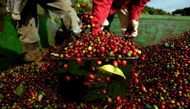Prețul cafelei  ar putea crește - pretcafea-1359042643.jpg
