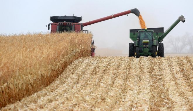 Preţul cerealelor a atins cel mai înalt nivel din ultimii ani - pretulcerealelor-1619348766.jpg