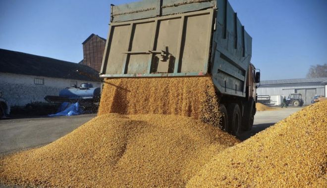 Preţul grâului a explodat după ce Rusia a ieşit din acordul de export al cerealelor prin Marea Neagră