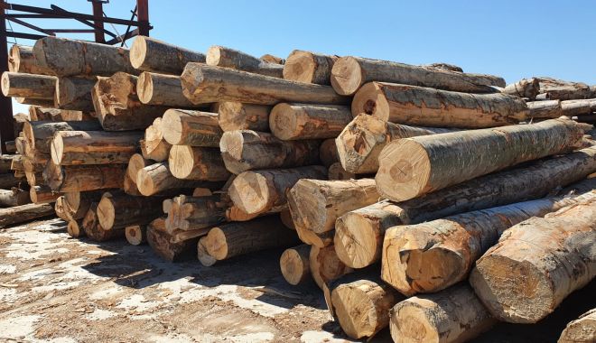 Prețul lemnului de foc a fost plafonat. Cine beneficiază de aceste măsuri