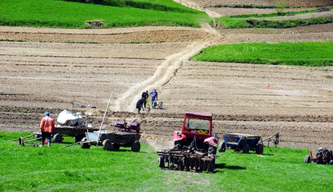 Prețul mediu al terenurilor agricole din județul Constanța a ajuns la 17.860 lei pe hectar - pretulterenurilor-1507126456.jpg