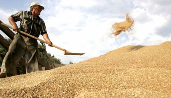 Prețurile cerealelor au scăzut în 2014 - preturilecerealelor-1420549501.jpg
