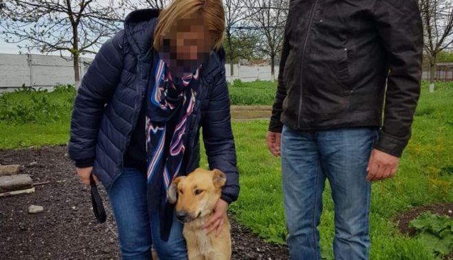 Primăria Constanța continuă campania de adopție a câinilor fără stăpâni - primariaconstanta-1556812331.jpg