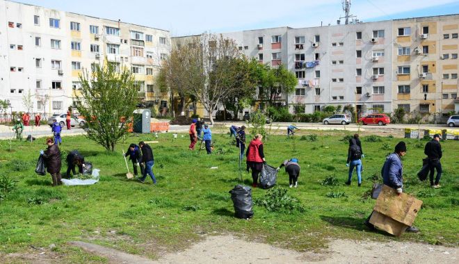 Primăria Constanța a finalizat campania  