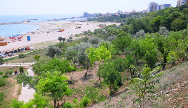 Primăria Constanța. Continuă igienizarea taluzului continuă în dreptul plajei Modern - primariaconstantataluz-1595933393.jpg