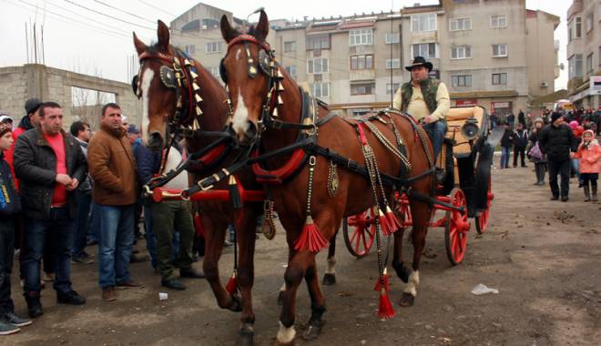 Primăria Mihail Kogălniceanu organizează 
