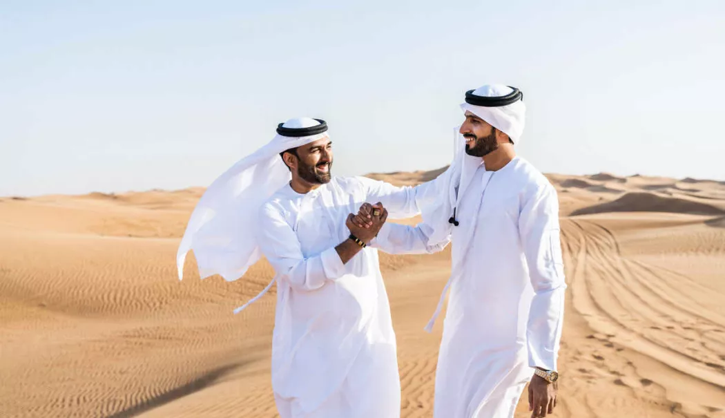 Prin deșert - prin-desert-1773855860.webp