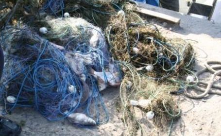11 plase de pescuit, confiscate - prinsicuunkilometrudeplasemonofi-1358328784.jpg