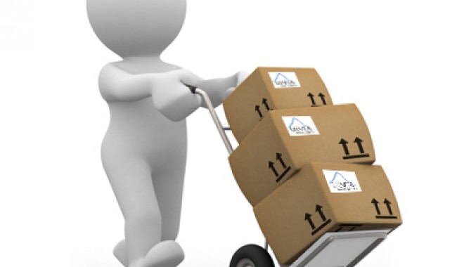 Proceduri vamale simplificate pentru trimiterile prin curierat rapid - proceduri-1408276401.jpg