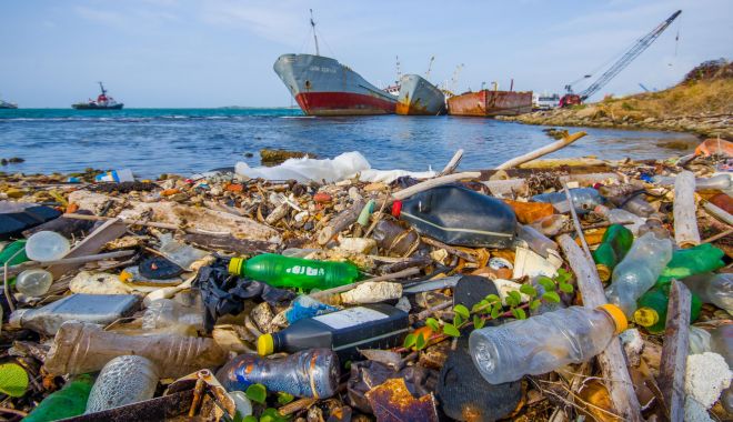 Procurorii UE și SUA cooperează în lupta împotriva criminalității ecologice - procuroriiuesisuacoopereaza-1664972872.jpg